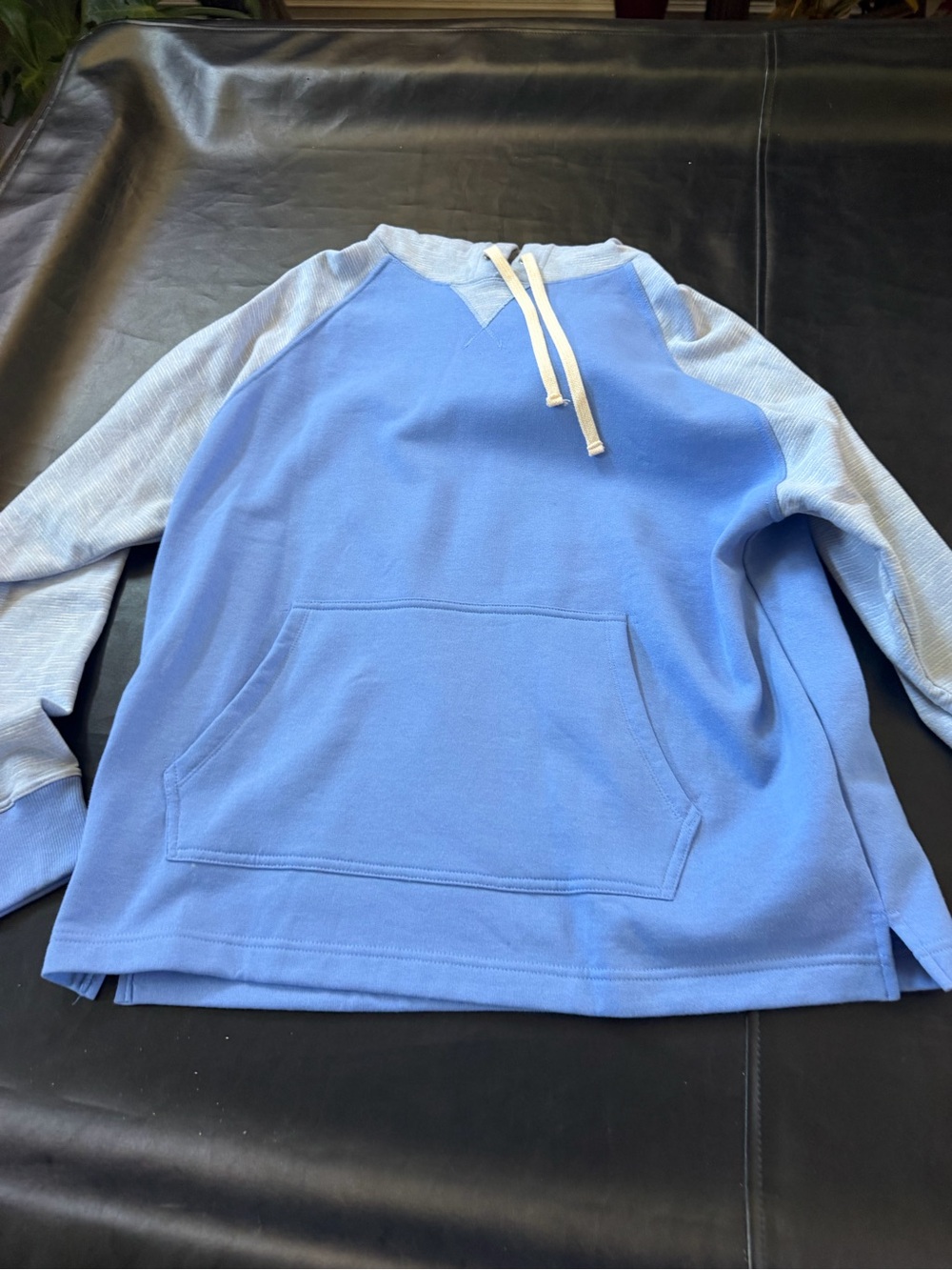 Champion Light Blue Raglan Crewneck Pullover
